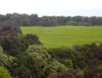 Click for movie (.wmv format)